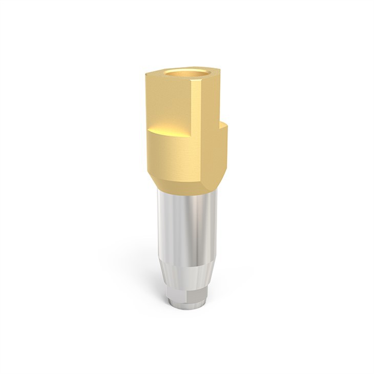 مسح الأجسام للحصول على زرع كامل للقوس